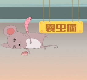 秒懂：猪囊尾蚴病