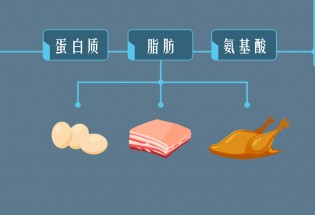 食品有意思：隐藏在美味后的隐患—N-亚硝基化合物