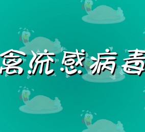 科普视频:如何预防禽流感病毒感染？